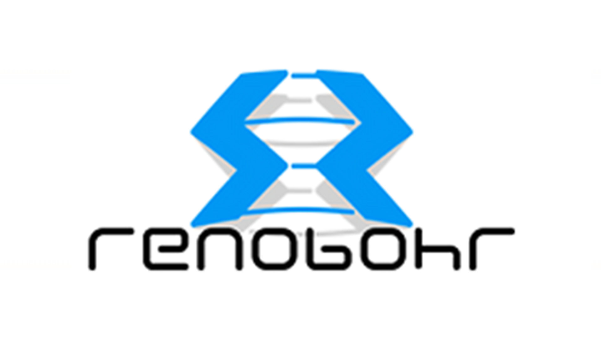 RENOBOHR INDUSTRIA E COMERCIO DE BORRACHAS LTDA